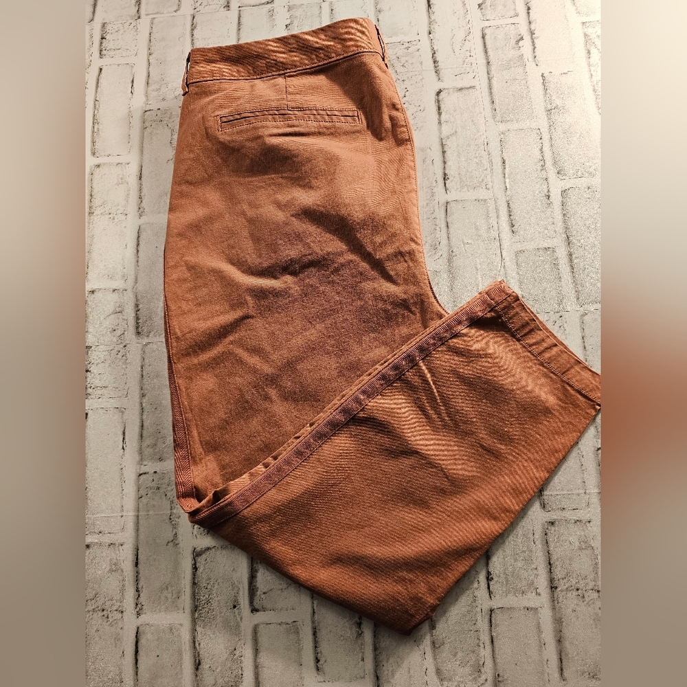 Womens plus Old Navy Salmon Color Pixie Pants